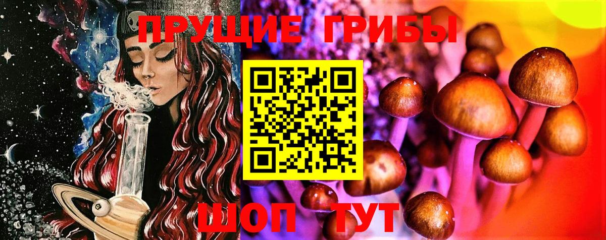 Гуково  Галлюциногенные грибы MAGIC MUSHROOMS  Вход с VPN  Псилоцибиновые грибы мицелий 